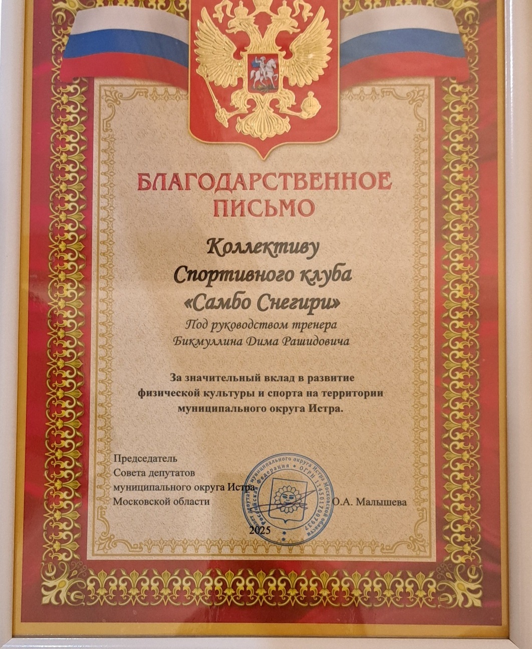 благодарность Самбо Снегири