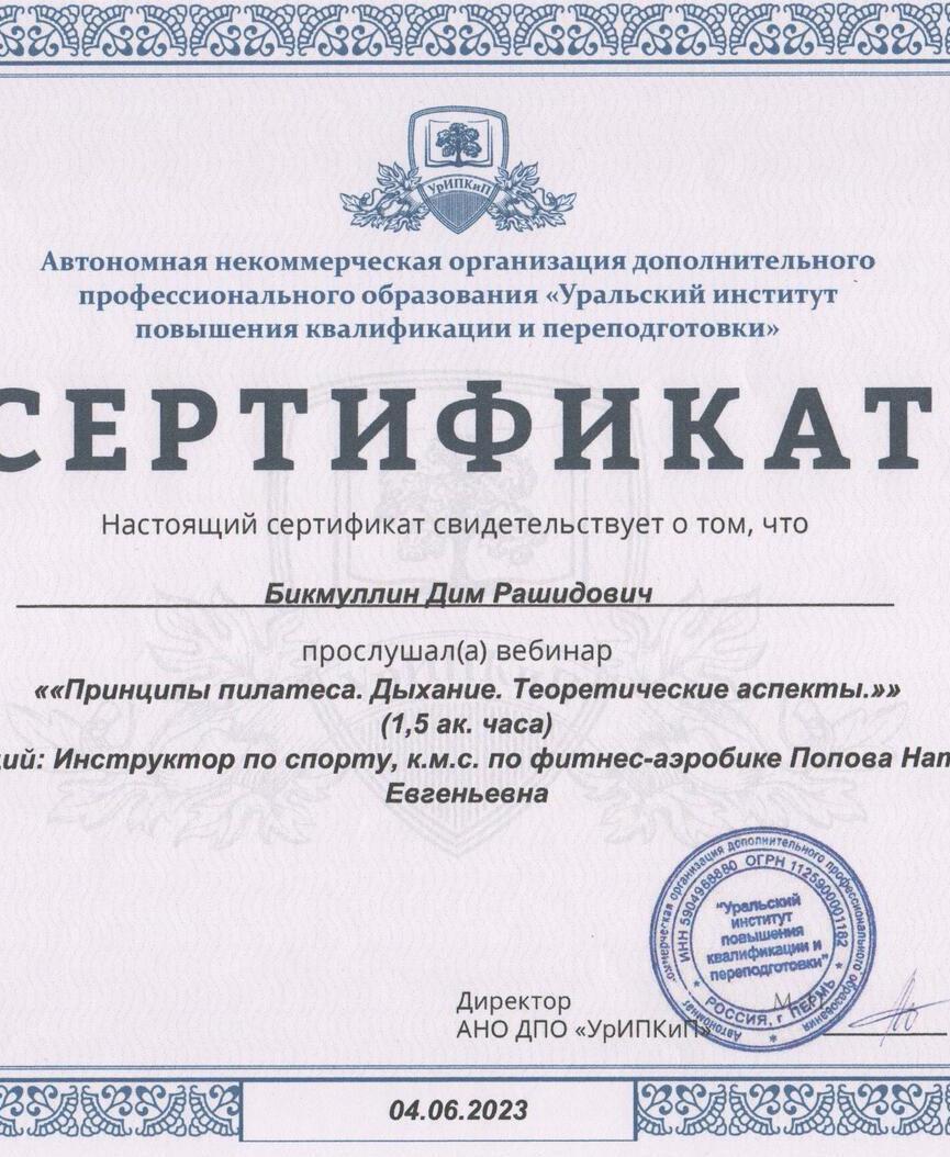 Бикмуллин Дим Рашидович