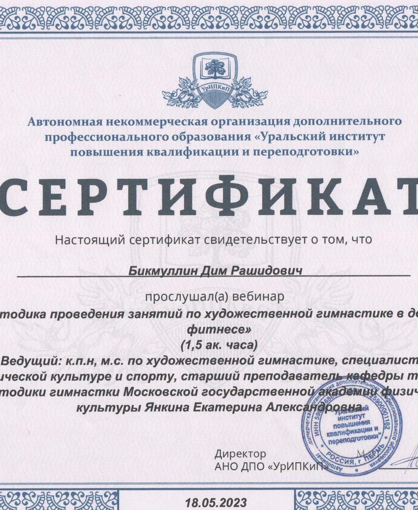 Бикмуллин Дим Рашидович