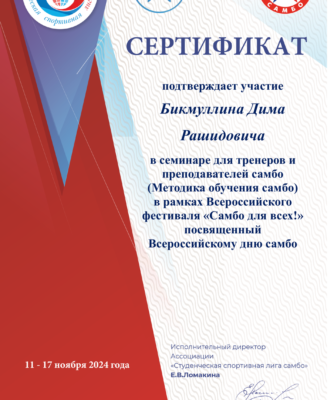 Сертификат Бикмуллин Дим Рашидович