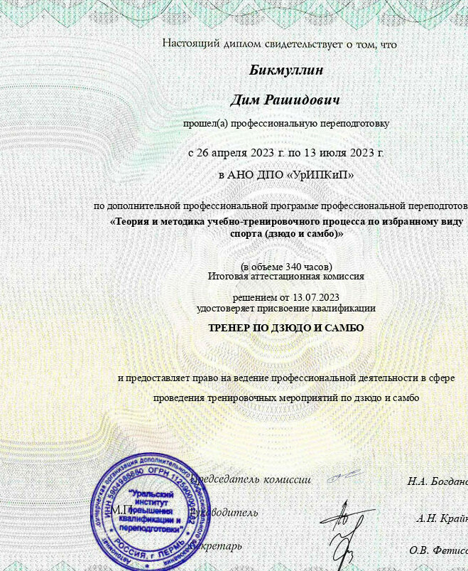 Бикмуллин Дим Рашидович