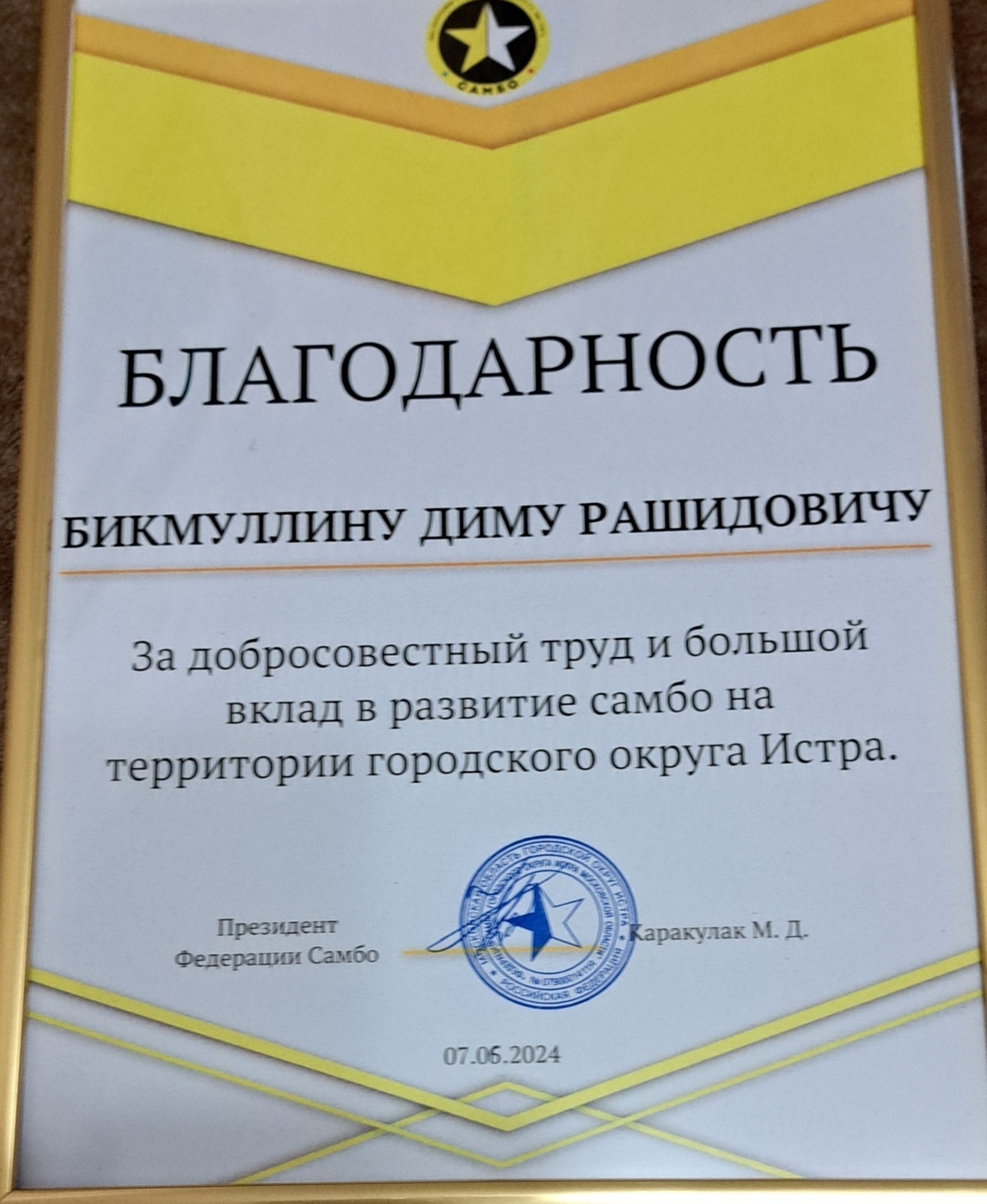 Благодарность Бикмуллину Диму Рашидовичу