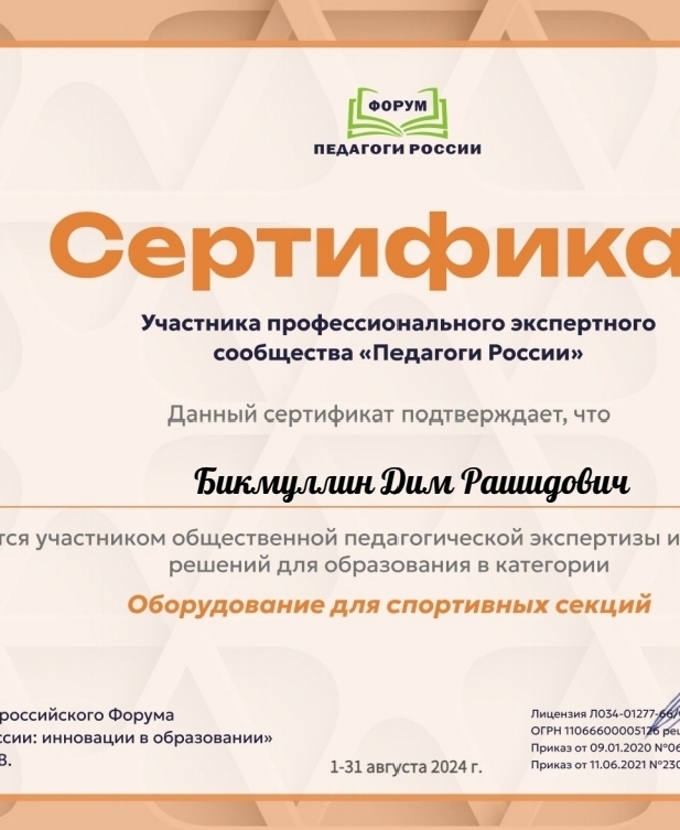 Сертификат участника Бикмуллин Дим Рашидович
